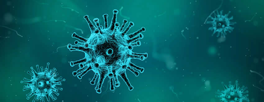 Image representing the influenza virus